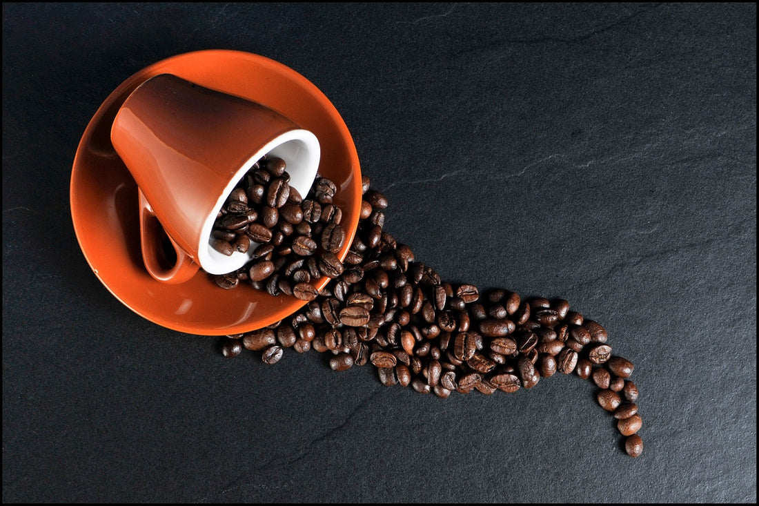 Differences Between Light, Medium, and Dark Roast Coffee